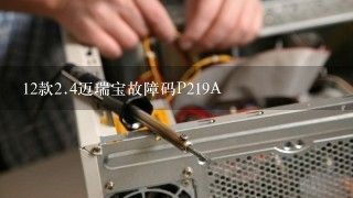 12款<br/>2、4迈瑞宝故障码P219A