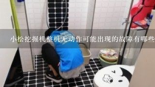 小松挖掘机整机无动作可能出现的故障有哪些？