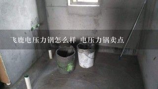 飞鹿电压力锅怎么样 电压力锅卖点