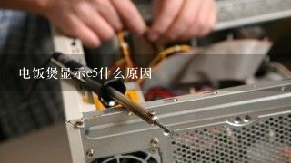 电饭煲显示e5什么原因