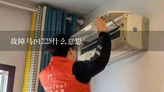 故障马p1225什么意思