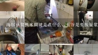 海尔豆浆机米糊键是煮什么，五谷是要按豆浆键还是养生糊键呢、