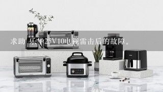 求助 乐华25V10电视雷击后的故障。