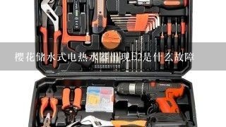 樱花储水式电热水器出现E2是什么故障