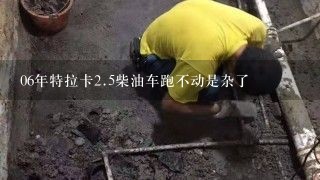 06年特拉卡<br/>2、5柴油车跑不动是杂了