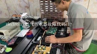 electrolux燃气热水器故障代码e1？