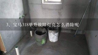 宝马318举升故障灯亮怎么消除呢