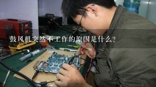 鼓风机突然不工作的原因是什么？