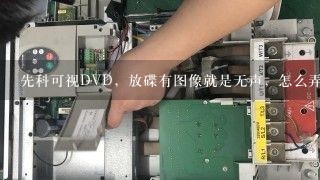 先科可视DVD，放碟有图像就是无声，怎么弄也没声，