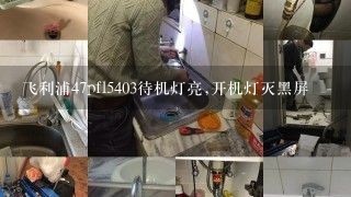 飞利浦47pfl5403待机灯亮,开机灯灭黑屏