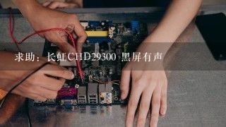 求助：长虹CHD29300 黑屏有声