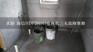 求助 海信HDP2919H电视机三无故障维修