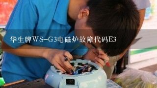 华生牌WS-G3电磁炉故障代码E3