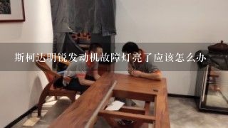 斯柯达明锐发动机故障灯亮了应该怎么办