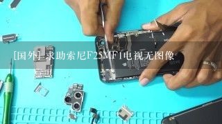 [国外] 求助索尼F25MF1电视无图像