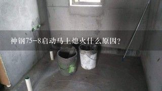 神钢75-8启动马上熄火什么原因？