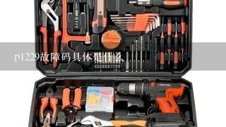 p1229故障码具体是什么